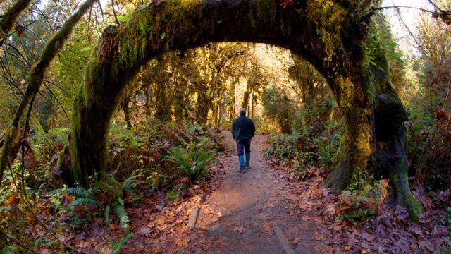 Best Places to Visit in Washington State in Summer