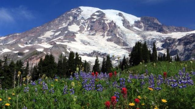 Best Places to Visit in Washington State in the Fall