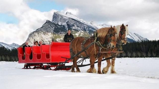 Best Places to Visit in Wyoming in Winter
