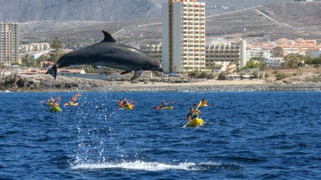 Best Places to Visit in the Canary Islands