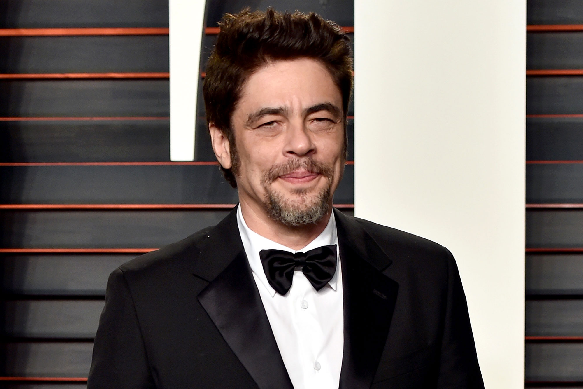 Benicio Del Toro Net Worth