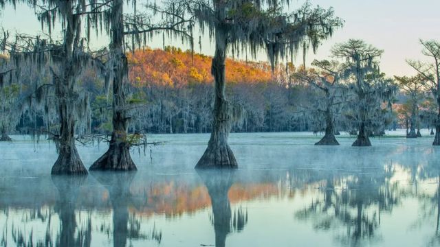 Best Natural Places to Visit in Texas