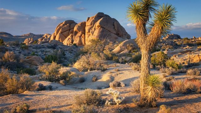 Best Outdoor Places to Visit in California