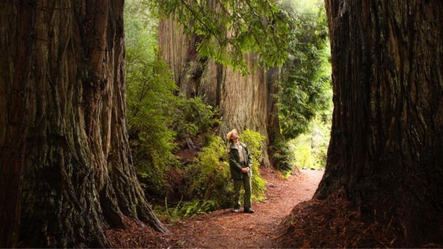 Best Outdoor Places to Visit in California