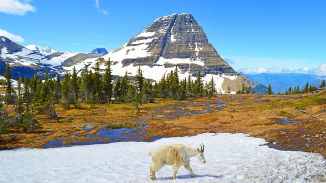 Best Places in Montana to Visit in Summer