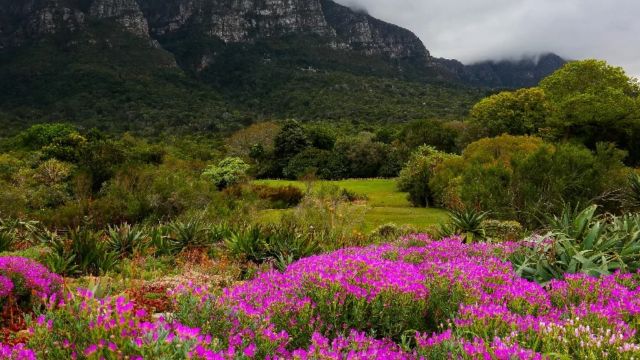 Best Places to Visit Cape Town