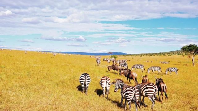 Best Places to Visit in Africa With Family