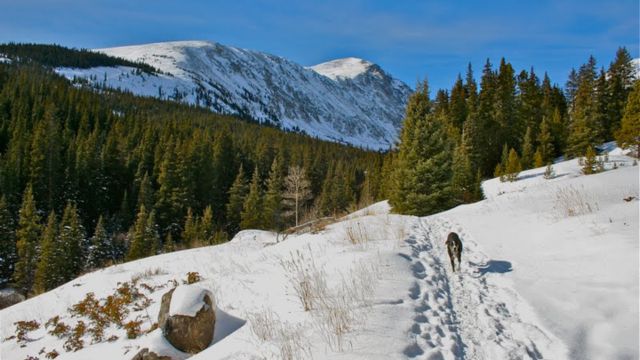 Best Places to Visit in Breckenridge