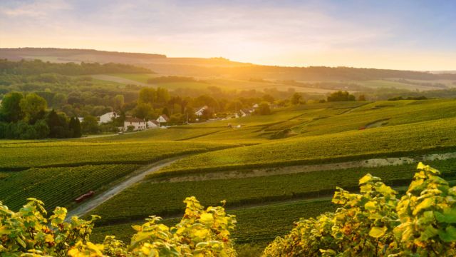 best places to visit in champagne france