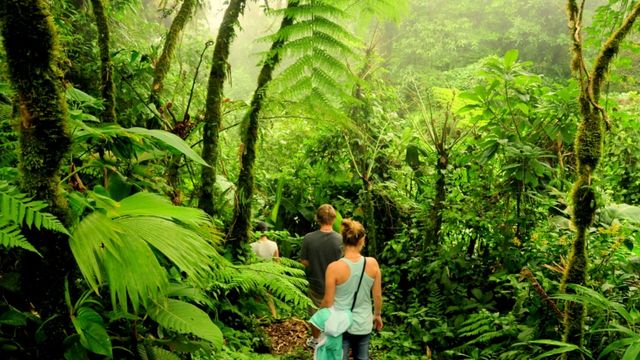 Best Places to Visit in Costa Rica in January