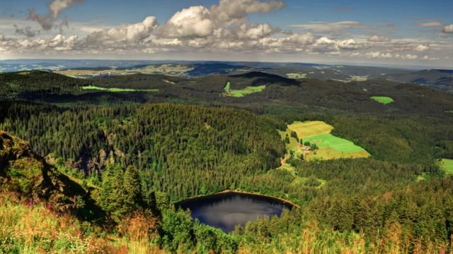 Best Places to Visit in Germany With Family