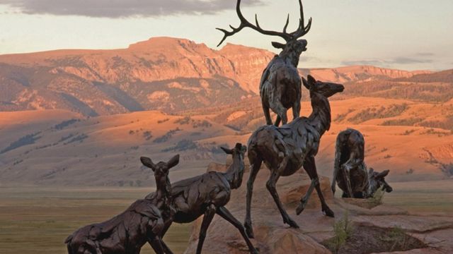 Best Places to Visit in Jackson Hole, Wyoming