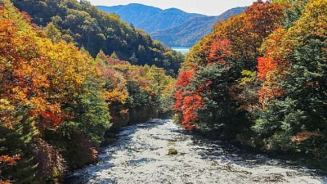 Best Places to Visit in Japan in April