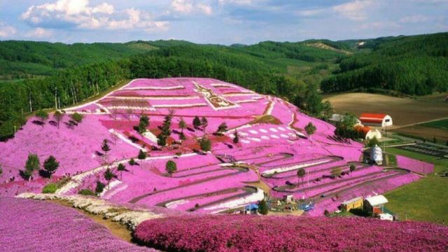 Best Places to Visit in Japan in April