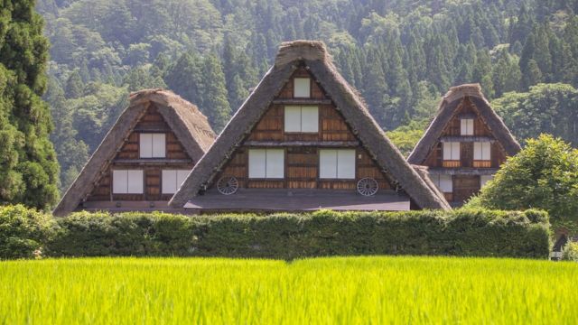 Best Places to Visit in Japan in December