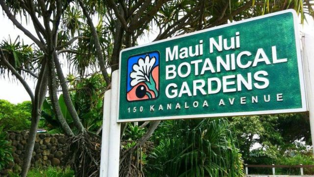 Best Places to Visit in Kahului