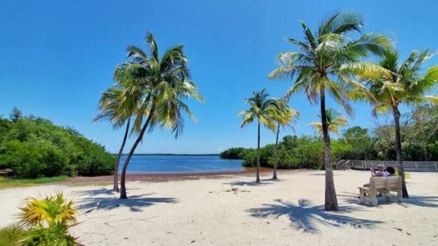 Best Places to Visit in Key Largo