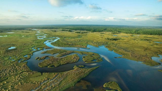 Best Places to Visit in Key Largo