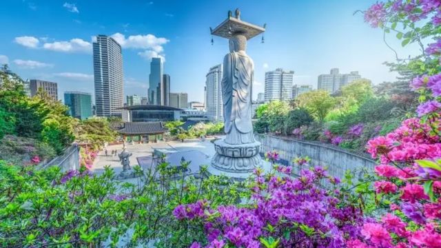 Best Places to Visit in Korea During Summer