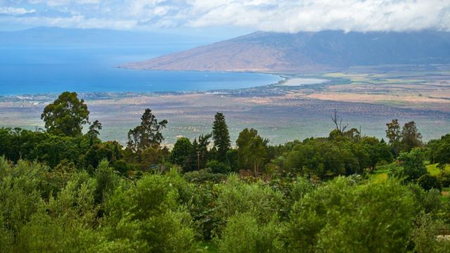 Best Places to Visit in Maui With Family