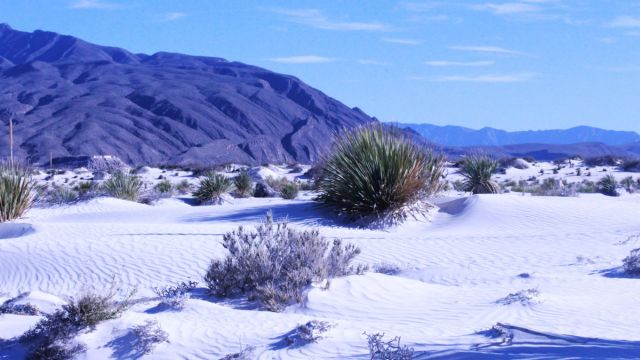 Best Places to Visit in Mexico Near the Border