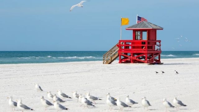 Best Places to Visit in Sarasota Florida