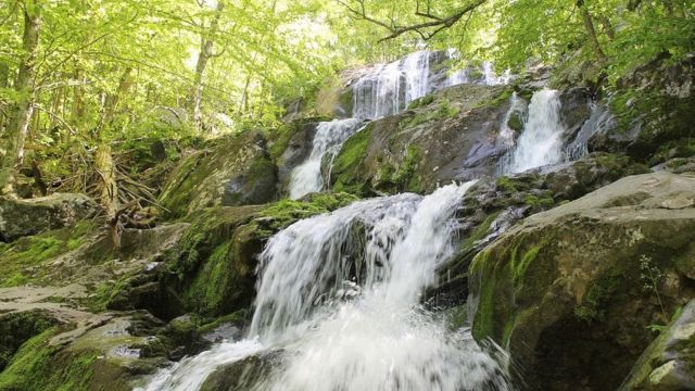 Best Places to Visit in Shenandoah National Park