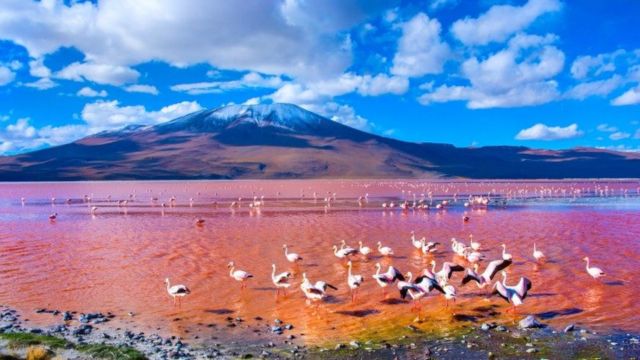 Best Places to Visit in South America in August