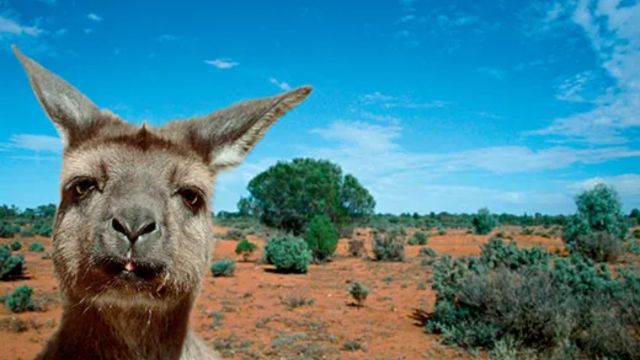 Best Places to Visit in South Australia