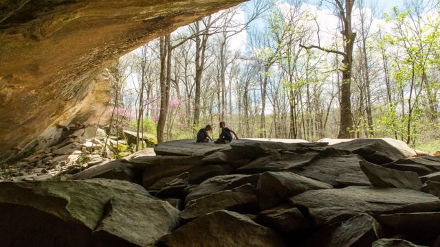 Best Places to Visit in Southern Illinois