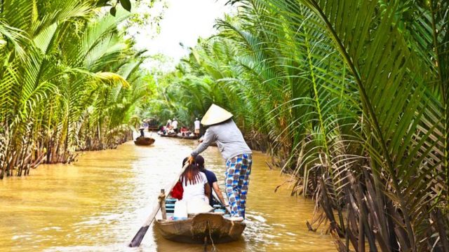 Best Places to Visit in Vietnam in January