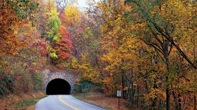 Best Places to Visit in Virginia in the Fall