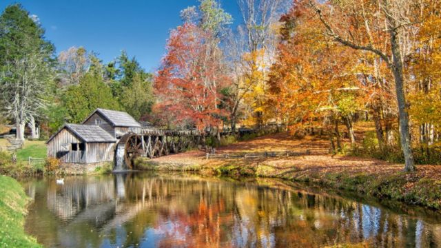 Best Places to Visit in Virginia in the Fall