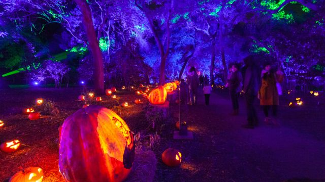 Best Spooky Places to Visit in October in Us