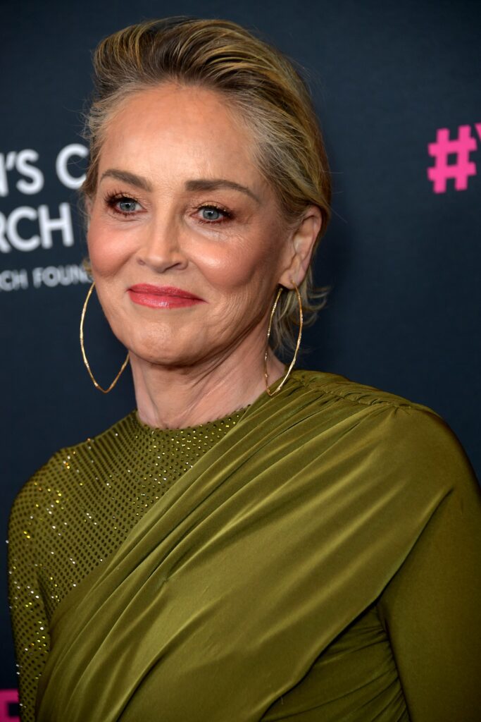 sharon stone net worth 2023