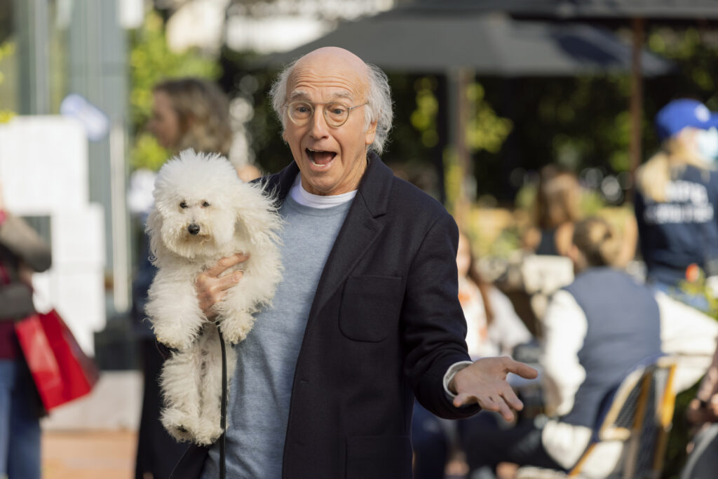 curb your enthusiasm season 12 release date