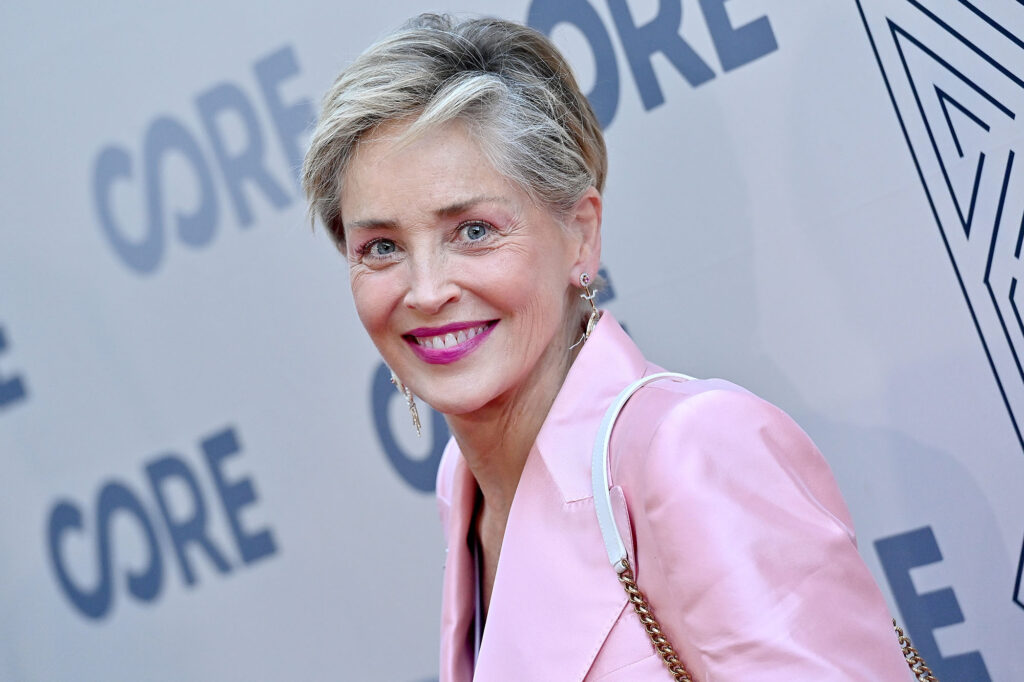 sharon stone net worth 2023