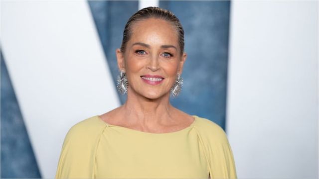 Sharon Stone Net Worth