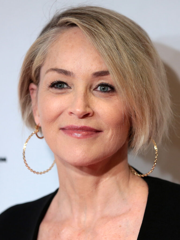 sharon stone net worth 2023