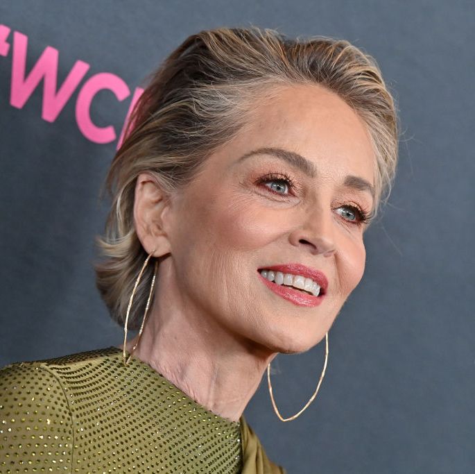 sharon stone net worth 2023