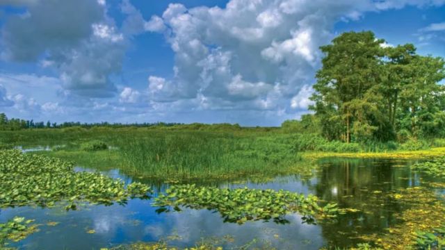 Best Places in Florida to Visit in February (7)