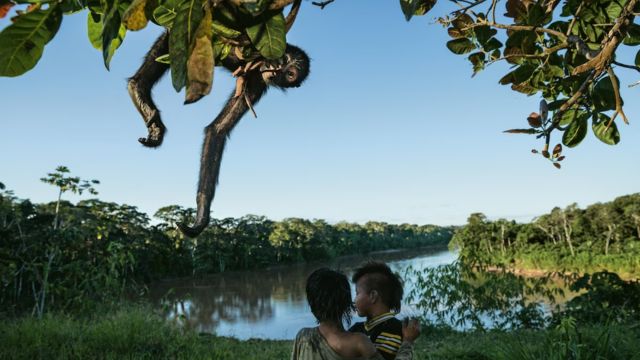 Best Places to Visit Amazon Rainforest in America (1)