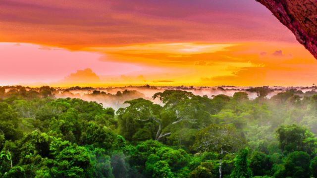 Best Places to Visit Amazon Rainforest in America (10)