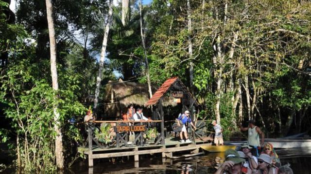 Best Places to Visit Amazon Rainforest in America (5)