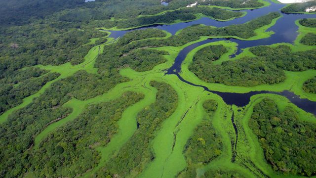 Best Places to Visit Amazon Rainforest in America (6)