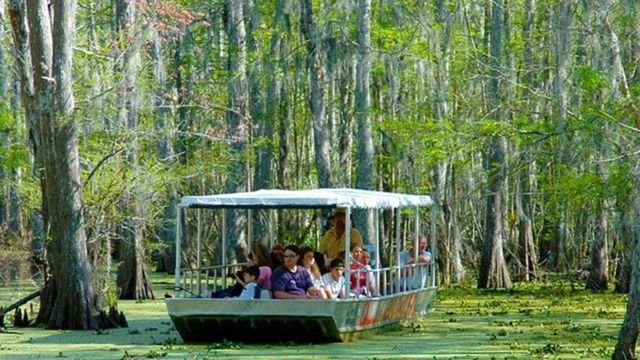 Best Places to Visit Near New Orleans