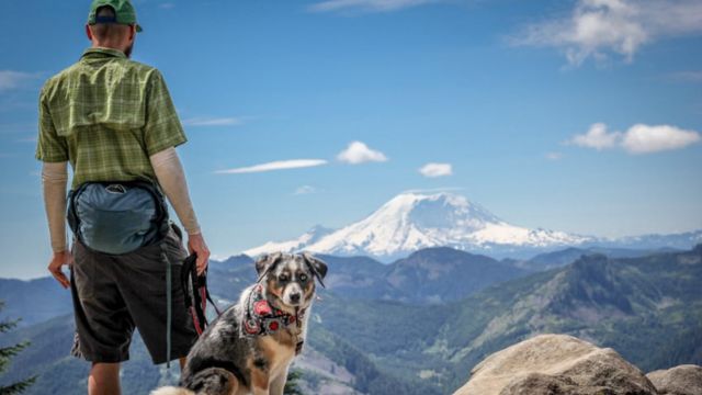 Best Places to Visit With Pets - in the US