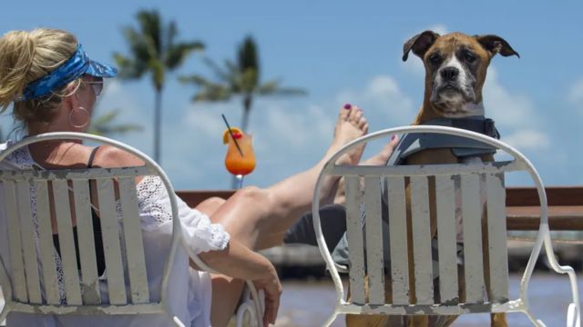 Best Places to Visit With Pets - in the US