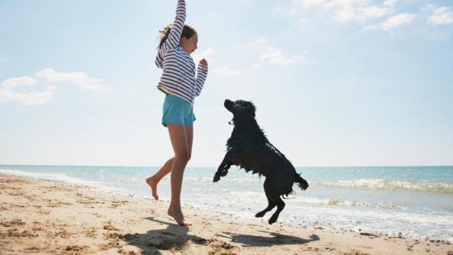 Best Places to Visit With Pets - in the US