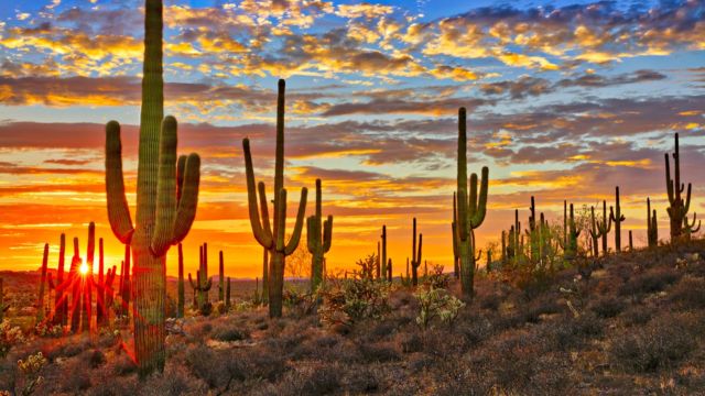 Best Places to Visit in Arizona in October (6)